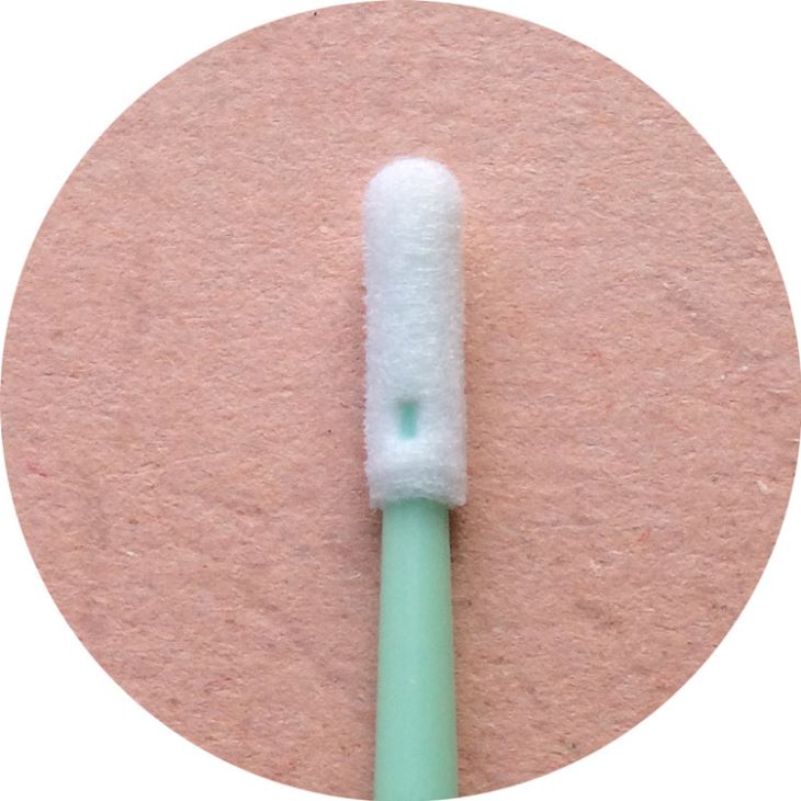 Petit écouvillon en mousse